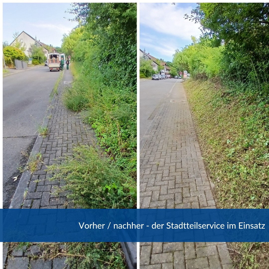 🌳✂️ Teamwork für mehr Sicherheit!
Unsere Fachanleiter haben gemeinsam mit den Teilnehmenden einen sogenannten Verkehrssicherungsschnitt durchgeführt – für freie Wege und einen gepflegten Stadtteil! 💪🛠️
#Stadtteilservice #Teamwork #SicherUnterwegs #wiesbaden #Verkehrssicherung #bauhauswerkstaetten