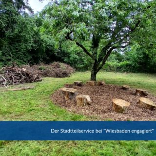 Im Rahmen der Aktion „Wiesbaden Engagiert!“ hat sich unser Projekt Stadtteilservice mit viel Einsatz und Teamgeist beteiligt. An einem gemeinsamen Aktionstag haben wir die Außenanlage der Kita Tigerbär wieder auf Vordermann gebracht: Es wurde gemäht, aufgeräumt und fleißig angepackt.

Ein herzliches Dankeschön an alle Helferinnen und Helfer für ihren tatkräftigen Einsatz und die tolle Zusammenarbeit!

#wiesbaden #wiesbadenengagiert #kita #aufräumen #stadtteilservice #bauhauswerkstaetten