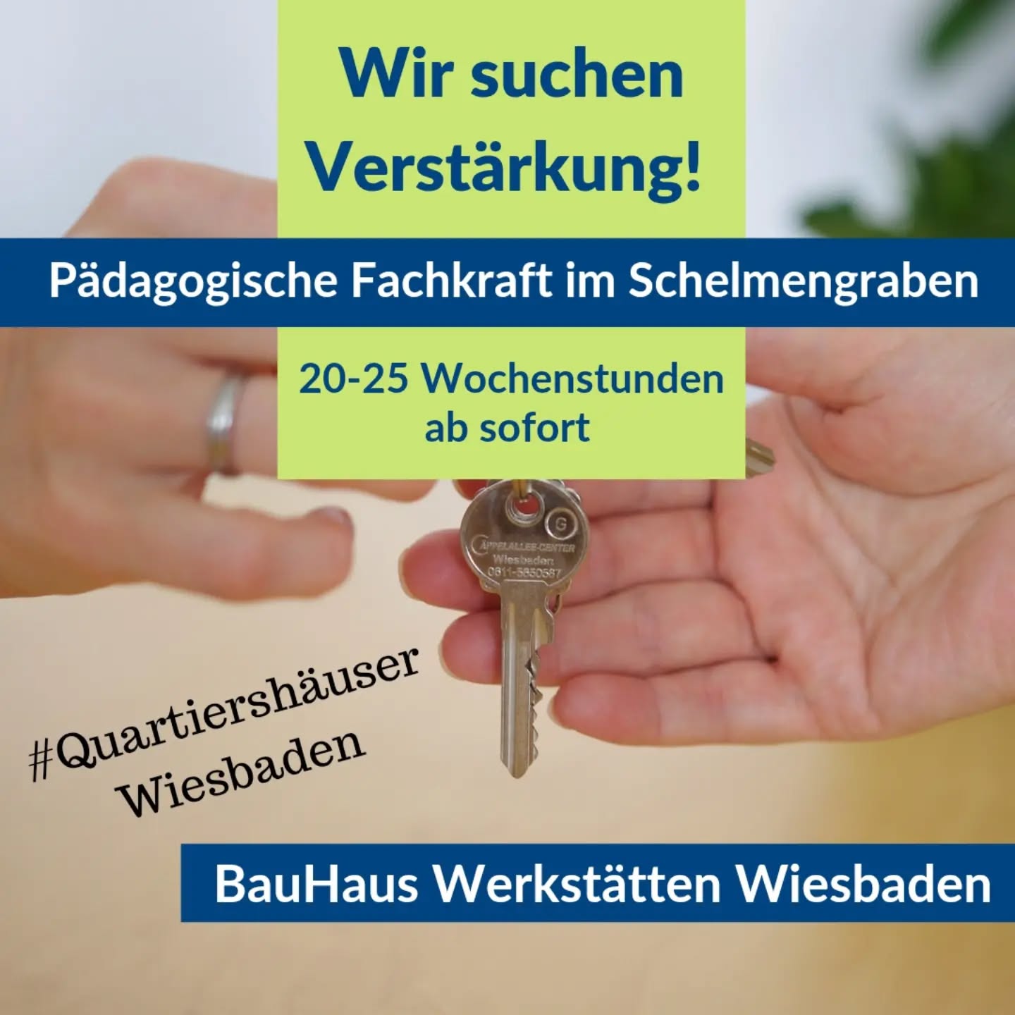Pädagogische Fachkraft gesucht!
Für unser Projekt „Quartiershaus Schelmengraben“ suchen wir engagierte Unterstützung!
🤝 Deine Aufgaben:
• Aufbau einer niedrigschwelligen Anlaufstelle
• Aktivierung & Unterstützung älterer Menschen
• Aufbau von Nachbarschaftshilfe & Ehrenamt
• Organisation von Gruppen- und Unterstützungsangeboten
• Vernetzung im Stadtteil und Zusammenarbeit mit sozialen Akteur:innen
✨ Du bringst mit: Engagement, Kommunikationsstärke, Eigeninitiative und Freude an Quartiersarbeit.
⏰ 25–30 Std./Woche
📅 Befristet bis 31.12.2027
💶 TVöD VKA E 9b
👉 Lust, den Schelmengraben mitzugestalten? Dann freuen wir uns auf deine Bewerbung!
(weitere Infos gibt's auf unserer Website)